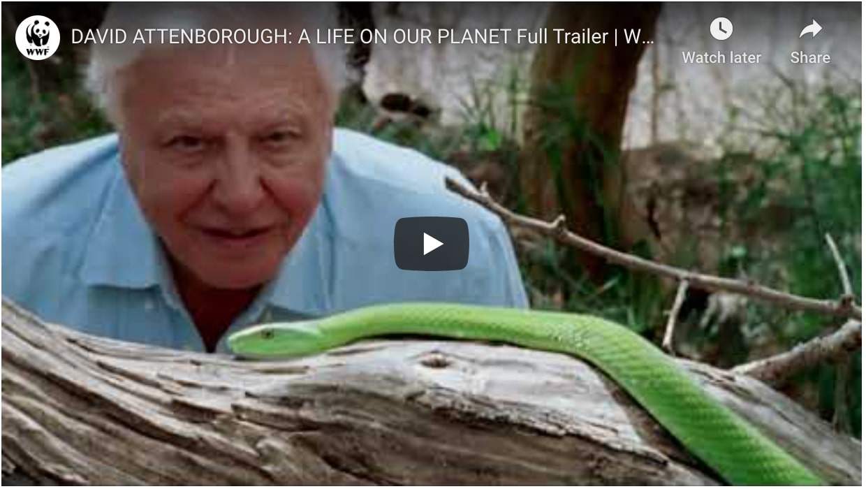 david attenborough a life on our planet trailer